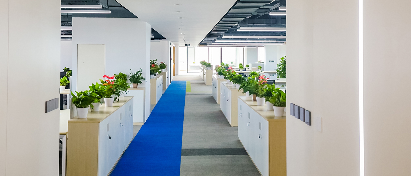 18新利LUCK·(中国区)官方网站